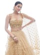 Sparkling Beige A Line Lehenga Choli